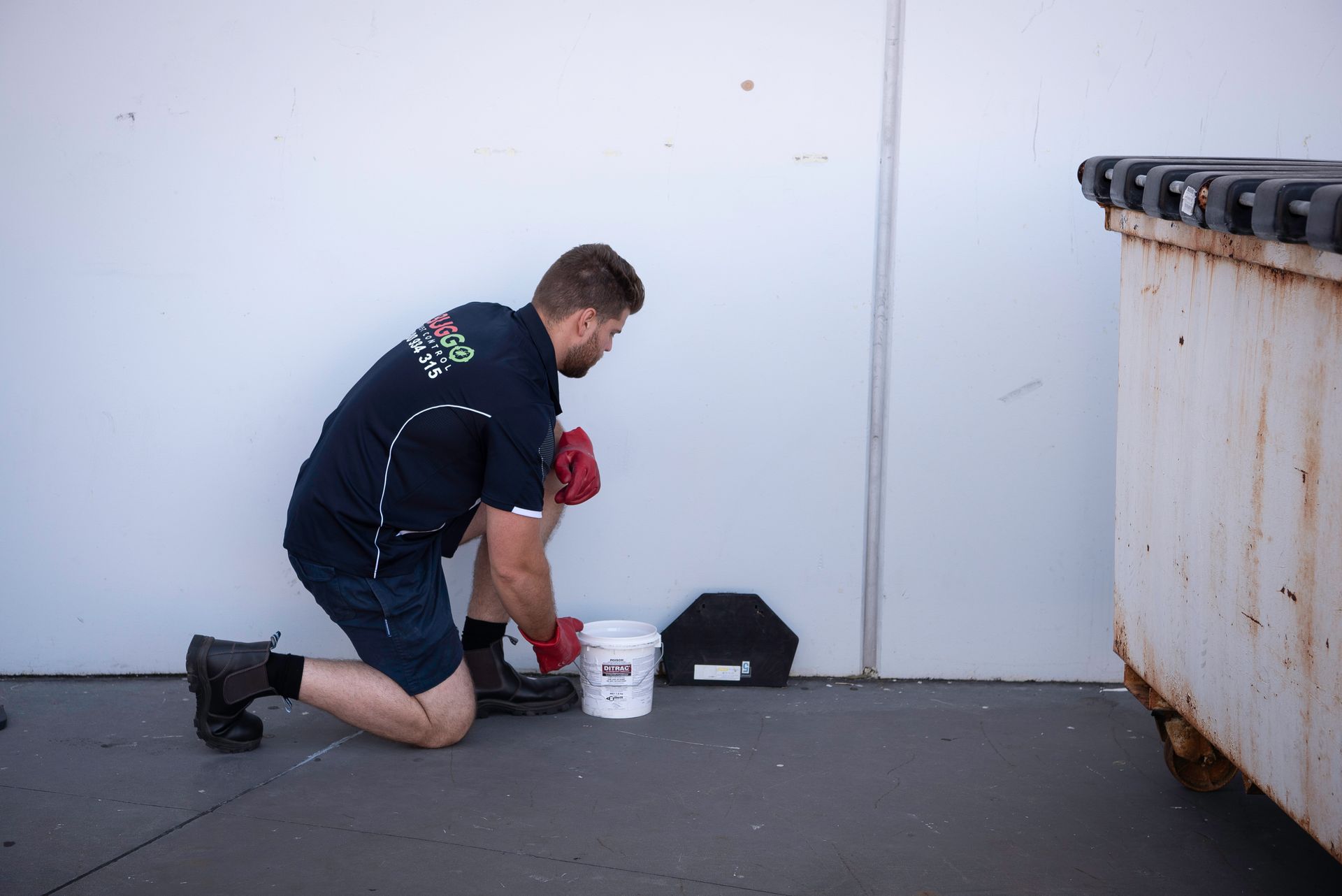 Rodent bait station installed in Sydney property