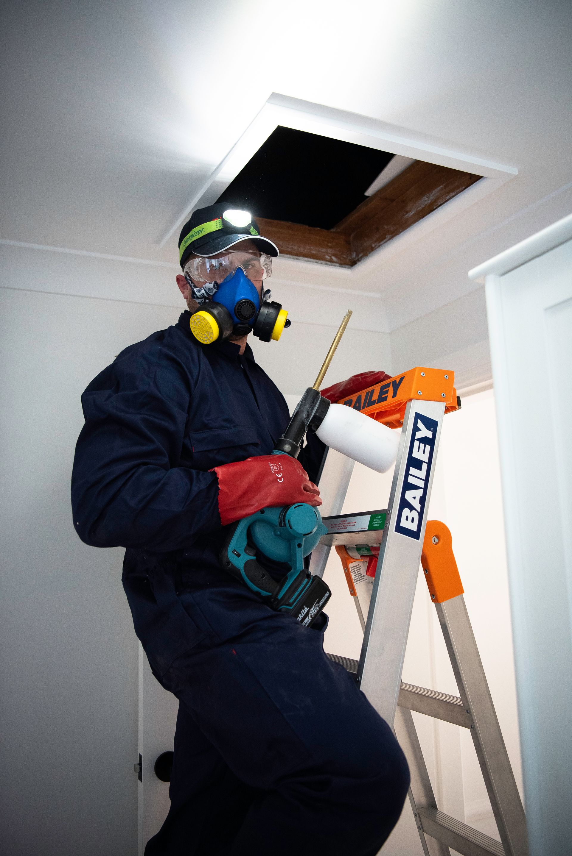 Roof void spider treatment in Sydney