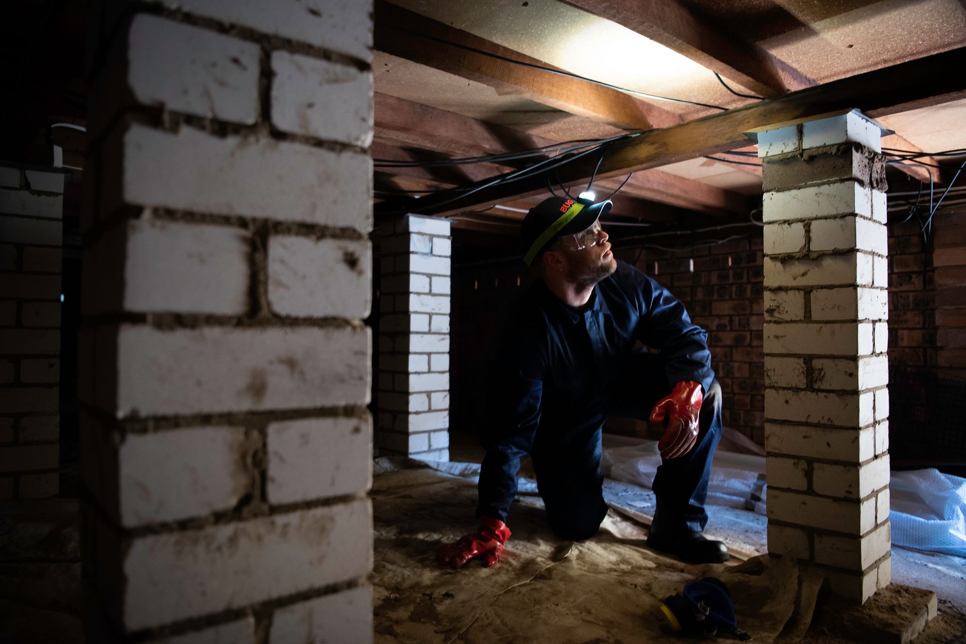Subfloor termite inspection in Sydney